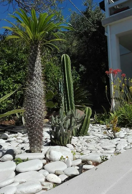 *** Bed & Breakfast La Casa A Mare B&B San Saba Italy